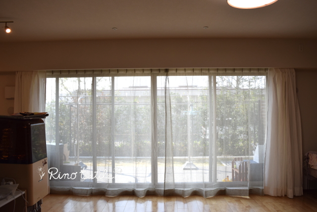 リノ　リコ　と　リノパリスグレー